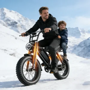 14 20 inch Electric fat bike   front brake seat